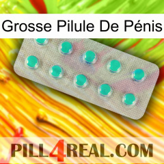 Grosse Pilule De Pénis 28
